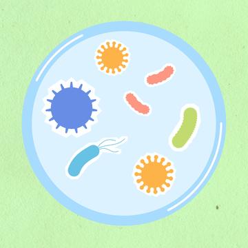 Dirty Parenting? Exploring 'good' germs and 'bad' germs in your child's ...