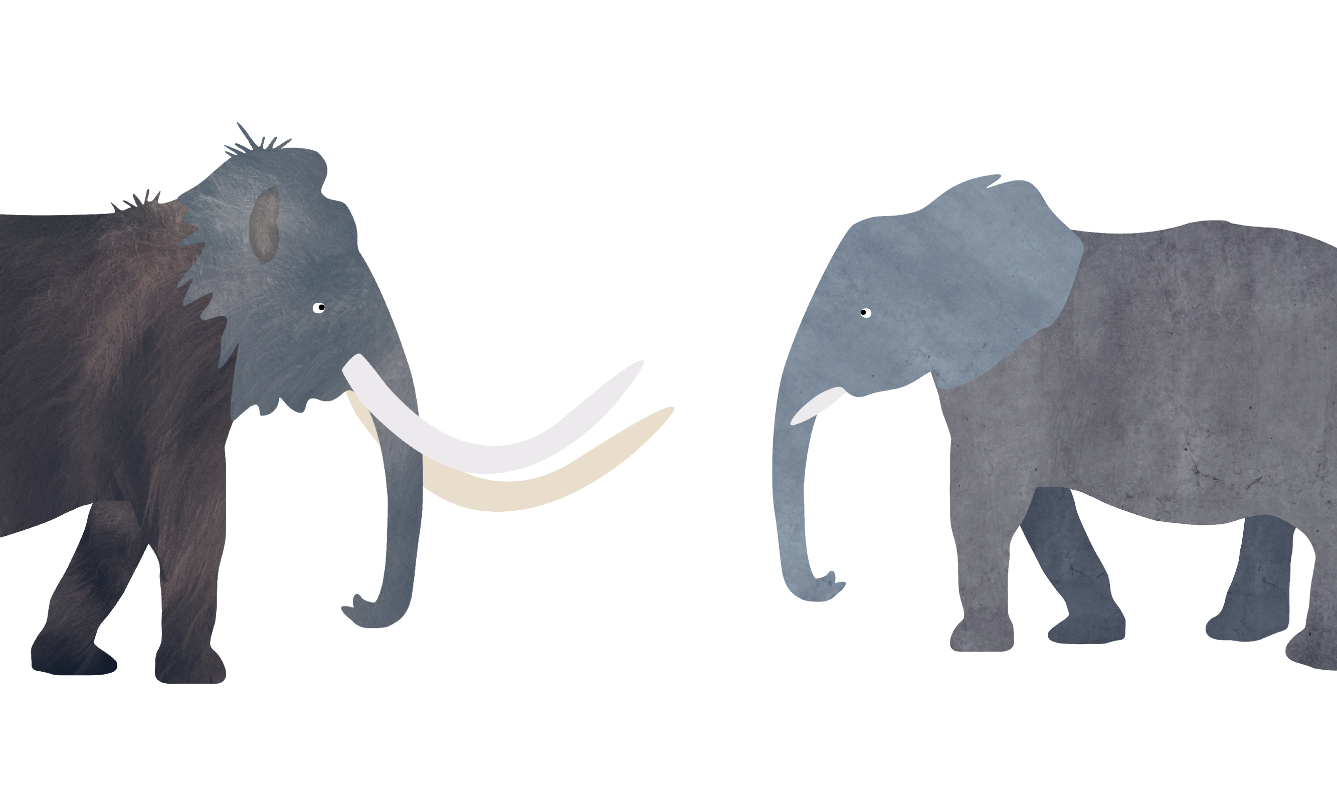 Illustration of a mammoth and elephant facing each other