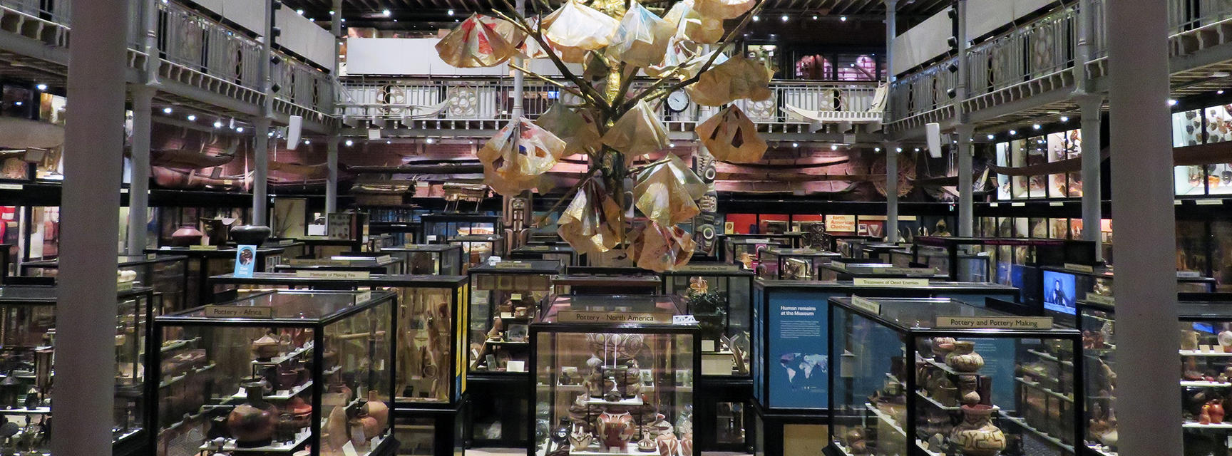 View of branching paper sculpture hung above glass cases filled with objects.