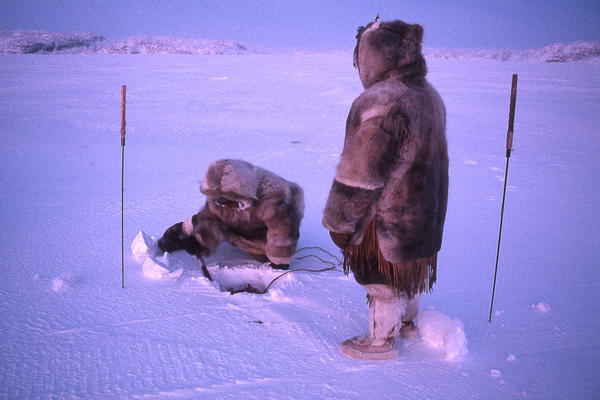 Two people fishing in the Arctic