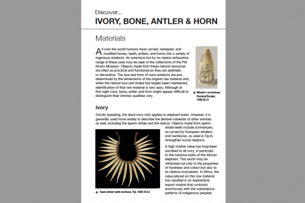 ivory bone antler horn
