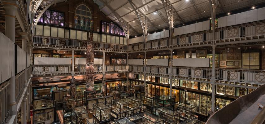 overview of the Pitt Rivers museum