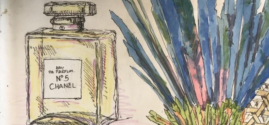 Image of bottle from example sketchbook