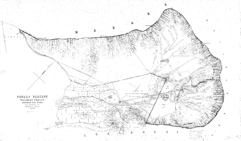 Line drawing of a map showing tunnels and ditches dug across taro fields to feed sugar plantations