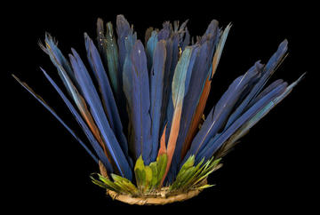 Headress made from blue feathers in a vertical arrangement.