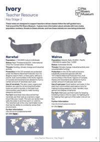 Front page of a teacher's resource about ivory