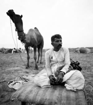 Camel and man